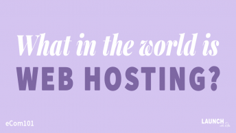 what in the world is web hosting